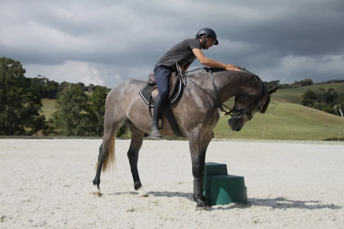 Mark reaching forward to pat a saddled grey horse standing beside a mounting block