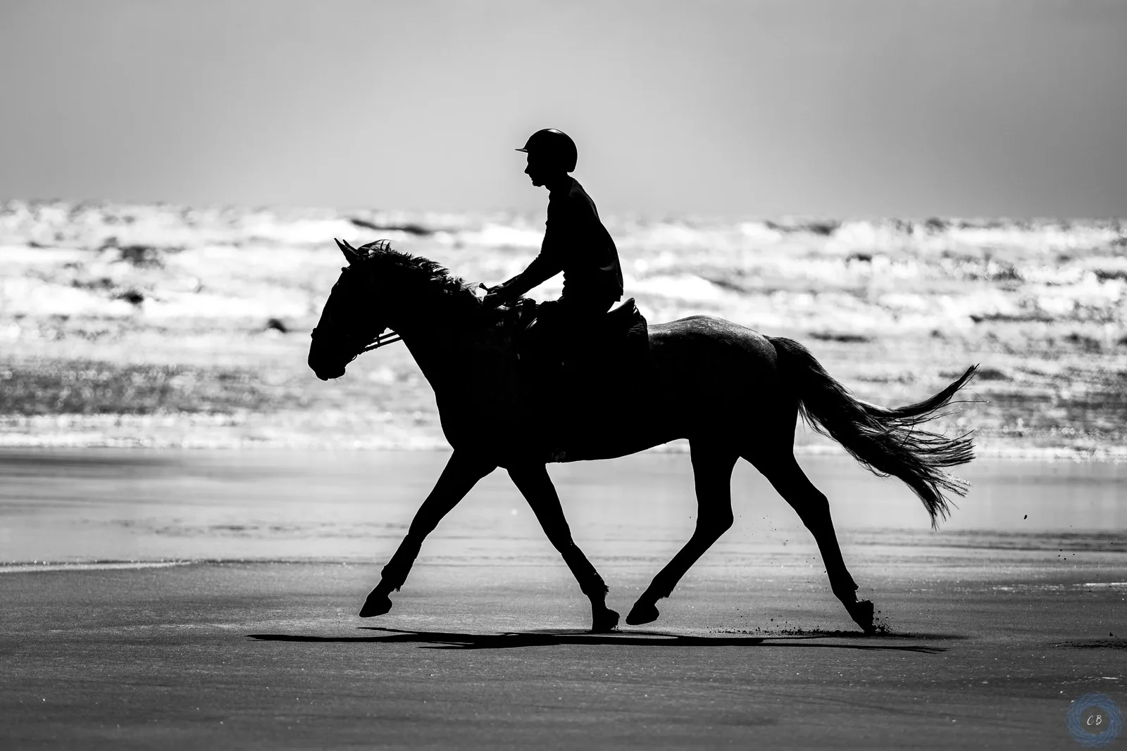 Silhouette of a rider on a horse trotting along a beach