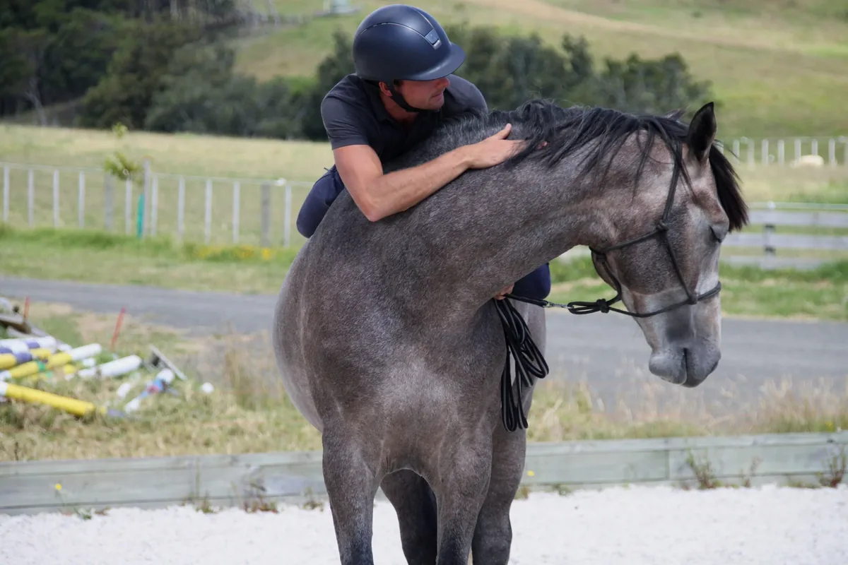 Mark lying over a grey horse in a rope halter, patting its neck