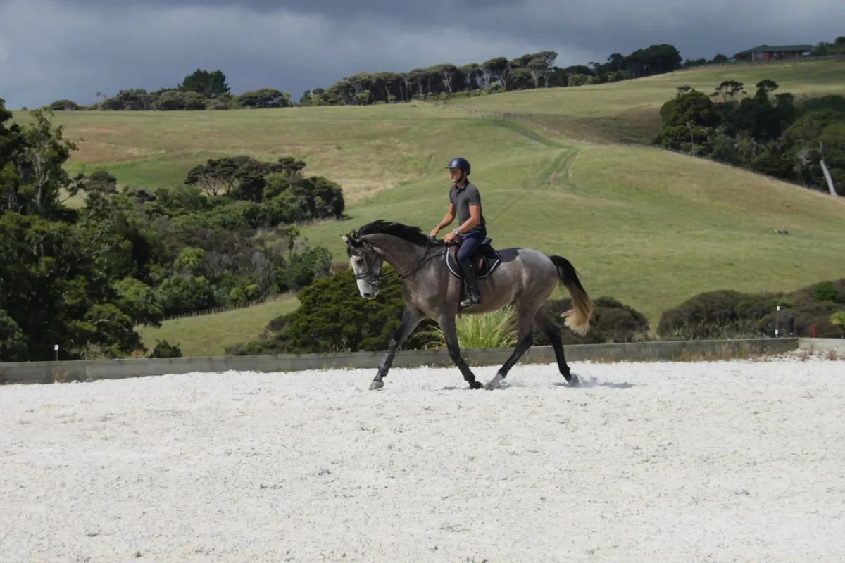 Mark riding a grey horse in trot around the arena