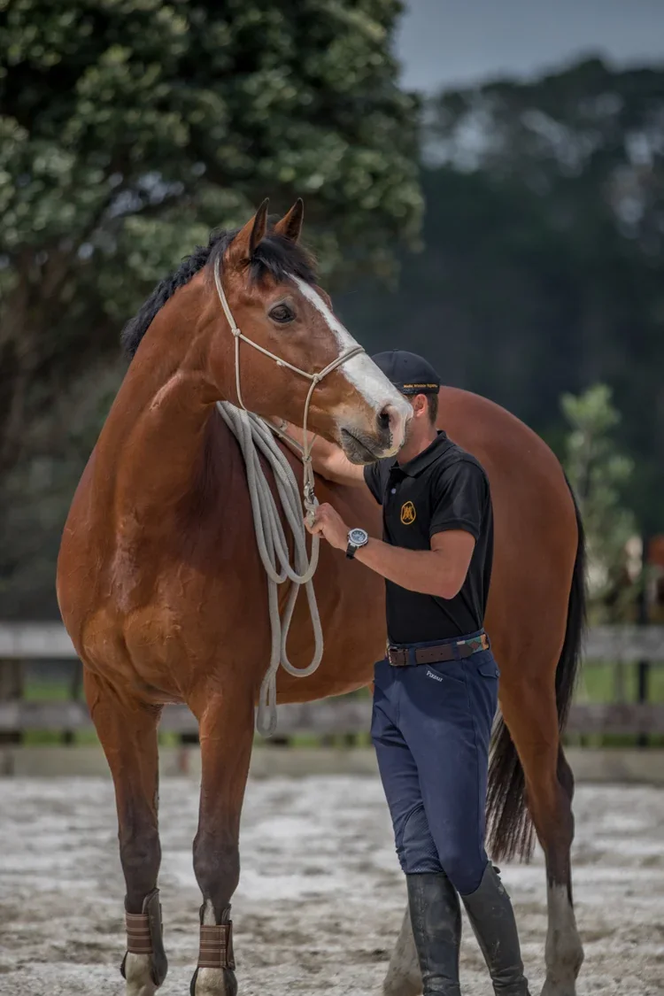 Mark Weedon standing with a bay horse in a rope halter
